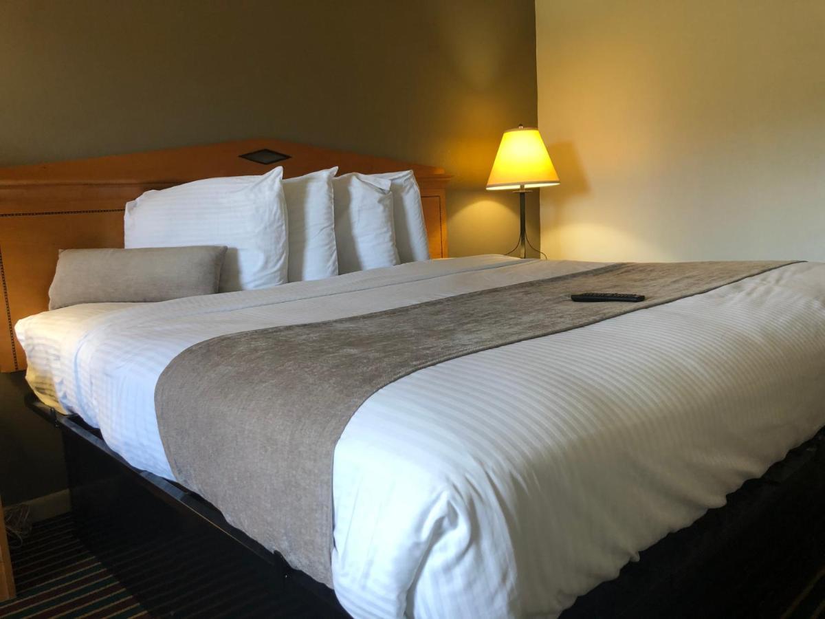 Budget Inn Timmonsville Екстер'єр фото